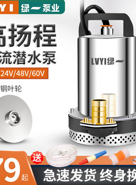 绿一农用48V直流潜水泵12V48V60V高扬程电P动车家用抽水泵 水泵