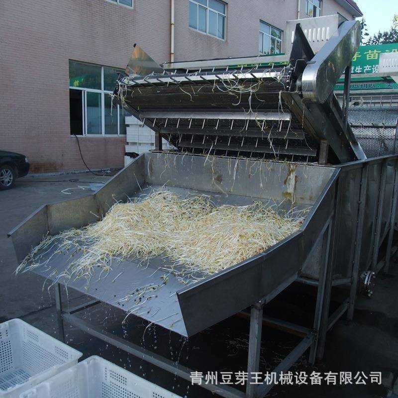 全自动豆芽清洗机商用绿豆芽清洗机源头工厂大型绿豆芽清洗设备