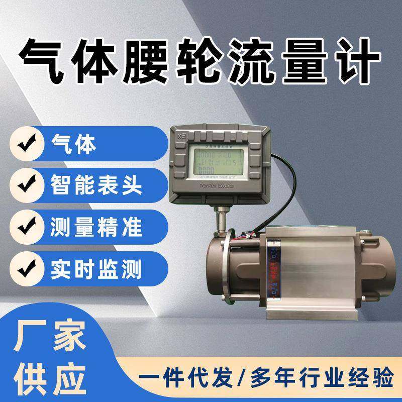 厂家供应气体腰轮（罗茨）流量计自主生产价格优惠
