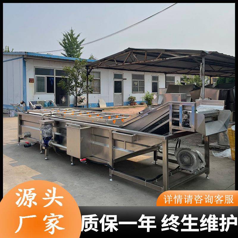 全自动甜玉米清洗机石榴清洗全套设备龙须菜清洗去杂机器
