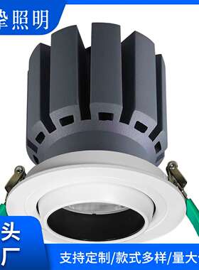 牛眼服装店嵌入式led高显色无频闪小开孔20W30W40W牛眼灯可调角