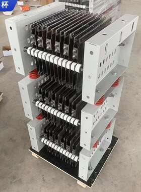 RT51-112M-6/1B不锈钢电阻器 大功率负载电阻器 RS56-160L电阻器