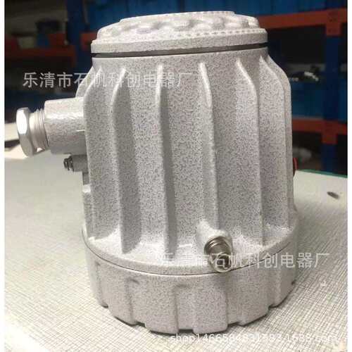 BAK51 立式防爆视孔灯 20W带延时开关