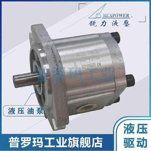 POA高压齿轮泵 RGP-F308RN 液压系统专用泵 工程机械RGP-F308RN
