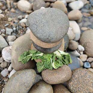 鹅卵石大号腌菜压菜石头酸坛子酸菜泡菜腌菜大石块河里丝克