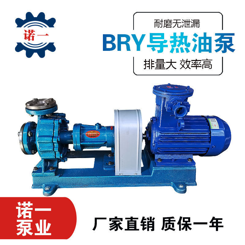 RY风冷式导热油泵锅炉循环热油泵耐高温循环无泄漏离心泵卸油泵