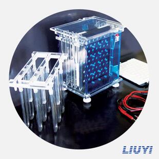 北京六一转移电泳仪DYCZ-40A电泳槽(大号)