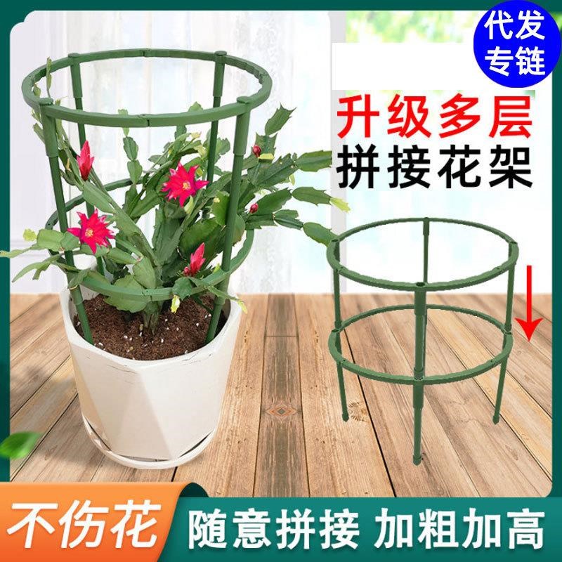 蟹爪兰专用支架2024新款多层双层园艺花架兰花护叶支撑架植物爬藤