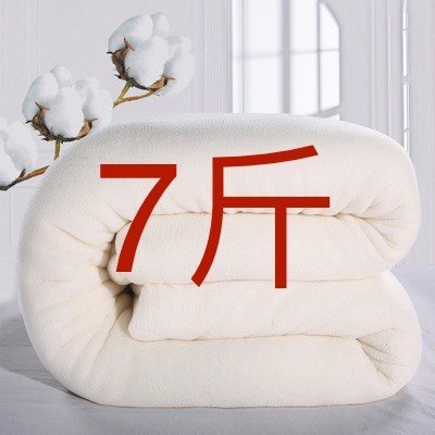 【小眼甄选】7斤装 新疆手工纯棉被冬被春秋棉花被棉絮床垫被褥子,床上用品,棉花被,淘宝优惠券,粉丝福利购,淘宝优惠卷
