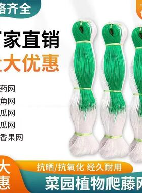 豇豆黄瓜吊瓜丝瓜苦瓜豆角白香果专用网植物爬藤种植网攀爬农用网