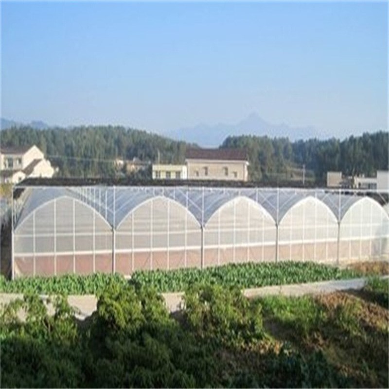 连栋薄膜温室大棚 水果花卉种植棚 生态园 农业联动温室种植大棚
