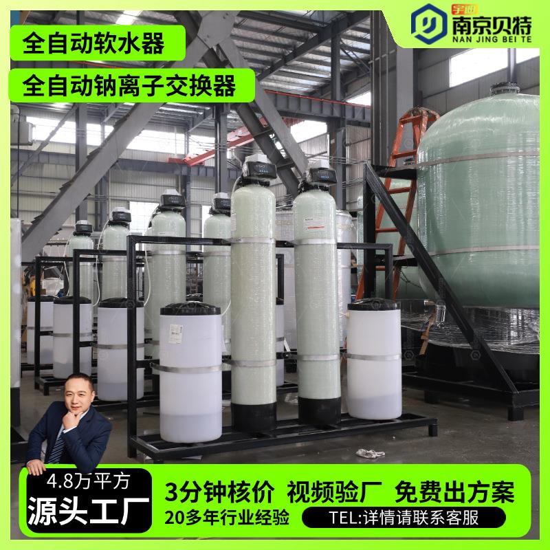 全自动软水器钠离子软水机交换器工业软化水设备BTN水处理器