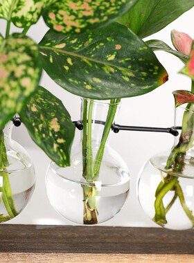 花盆水培木架花瓶装饰挂件水养绿萝植物花器家居墙面桌面摆件