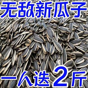 【生熟可选】内蒙古新货葵花籽新鲜原味大颗粒现炒现发批发价