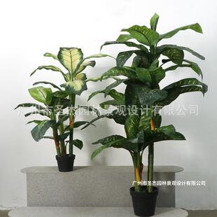 高端造景仿真绿植室内装饰仿真万年青热带雨林造景 喜林芋 万年青