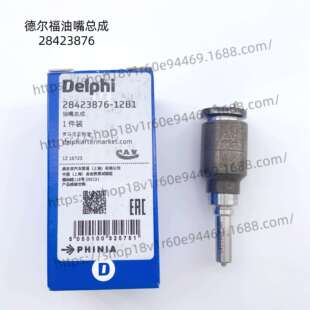 德尔福原厂28423876 L499PBK油嘴套件配BEBJ1F08001/BEBE1R14001