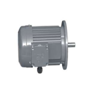 晟邦电机 CPG电机  CH-3-400-30S晟邦工业（苏州）有限公司