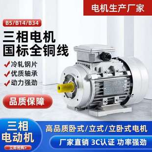 250 卧式 370 750W 2800转B34 550 三项异步电动机铜线380V铝壳180