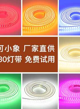 灯带led灯带客厅家用超亮光带3030灯条户外防水180珠线灯220v