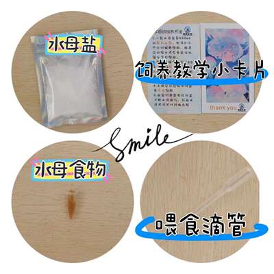水母盐赤月海月专用盐水母摆摊专用盐开缸海盐海月赤月水母海水素