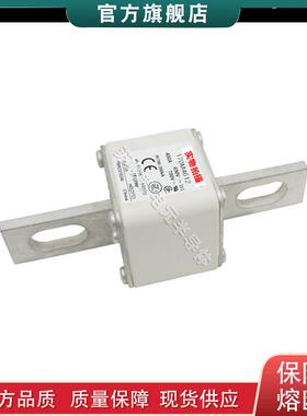 170M4608 4609 4610 4611 4612 巴斯曼bussmann快速熔断器保险丝