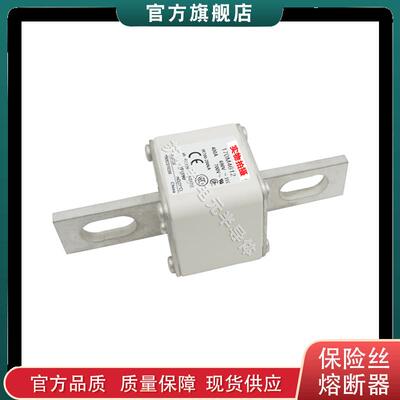 170M4608 4609 4610 4611 4612 巴斯曼bussmann快速熔断器保险丝