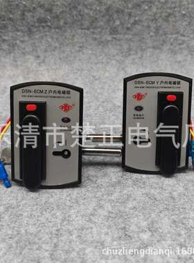 江山精益户内高压电磁锁DSN-ECM Y/Z高压柜电门锁电控锁左右开