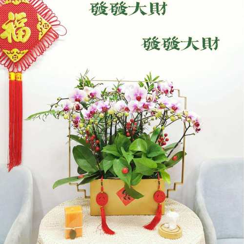 如意假山新中式蝴蝶兰花架仿真植物花盆简约轻奢年宵花盆栽摆件装