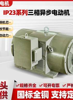 IP23系列三相异步电动机