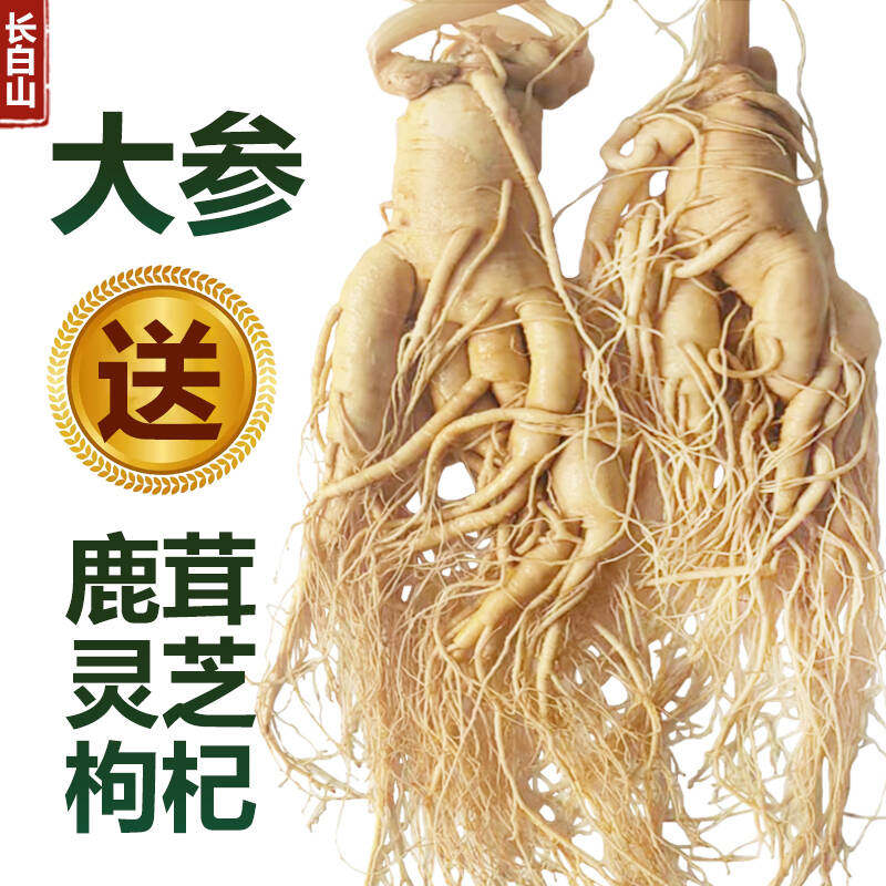 正宗长白山人参鲜人参煲汤泡酒材料东北特产整枝保鲜参滋补高品质