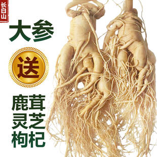 正宗长白山人参鲜人参煲汤泡酒材料东北特产整枝保鲜参滋补高品质