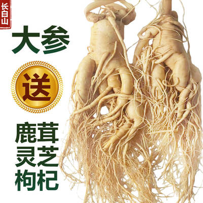 正宗长白山人参鲜人参煲汤泡酒材料东北特产整枝保鲜参滋补高品质