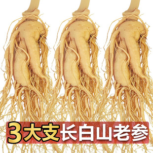 长白山人参泡酒材料鲜人参煲汤滋补东北特产泡酒药材送礼佳品