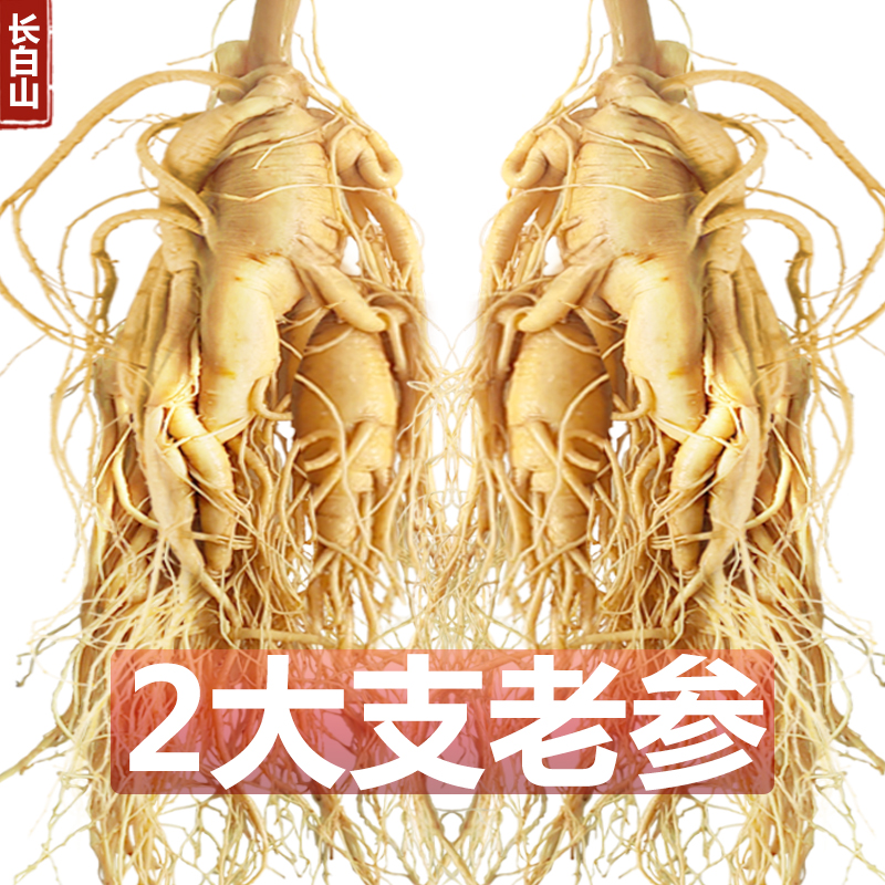 长白山人参煲汤泡酒鲜人参东北特产保鲜参高品质滋补大个人参