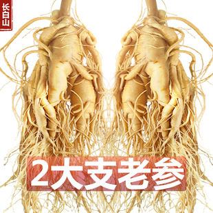 长白山人参煲汤泡酒鲜人参东北特产保鲜参高品质滋补大个人参