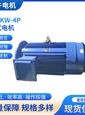 质量保障供应132W-4P立式电机颗粒机用电机三相异步电机