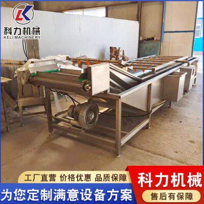 清洗机香 韭菜菜泥清洗机 叶类毛豆气泡蔬菜清洗机去