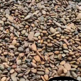 规污水变电鹅卵石格家用站多重庆用石卵河厂河变压器过滤供应石卵