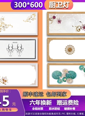 集成吊顶led灯30x60 厨房卫生间吸顶灯铝扣板嵌入式300x600平板灯