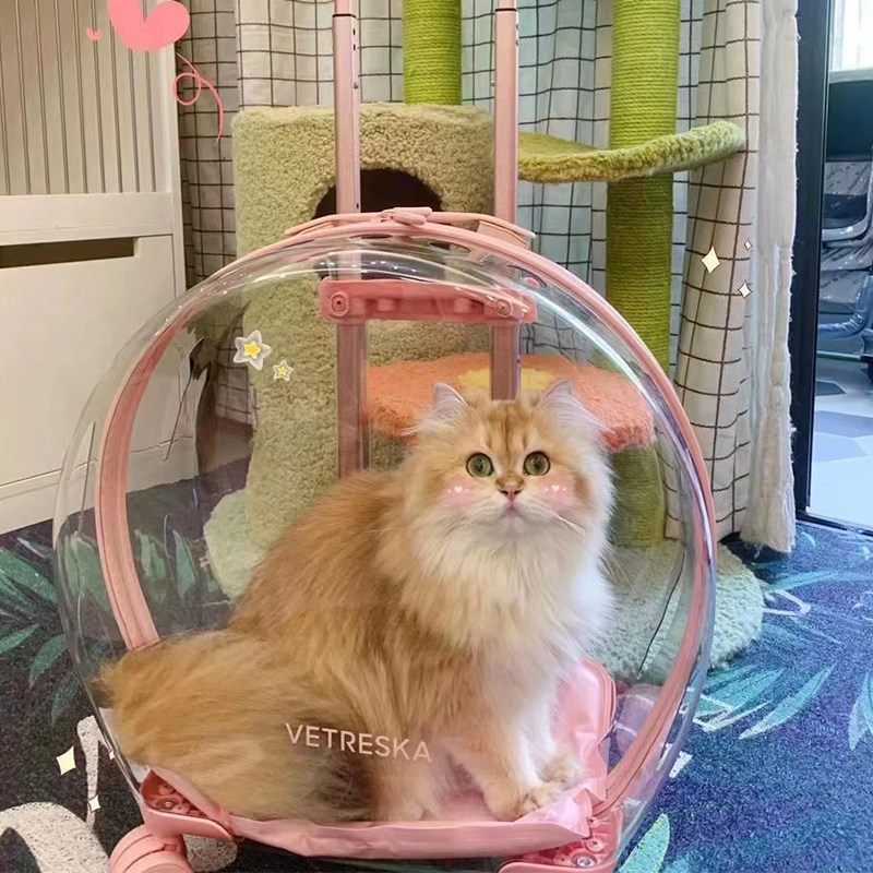 未卡泡泡箱猫包外出便携夏天手提透明宠I物拉杆箱大号太空舱大容