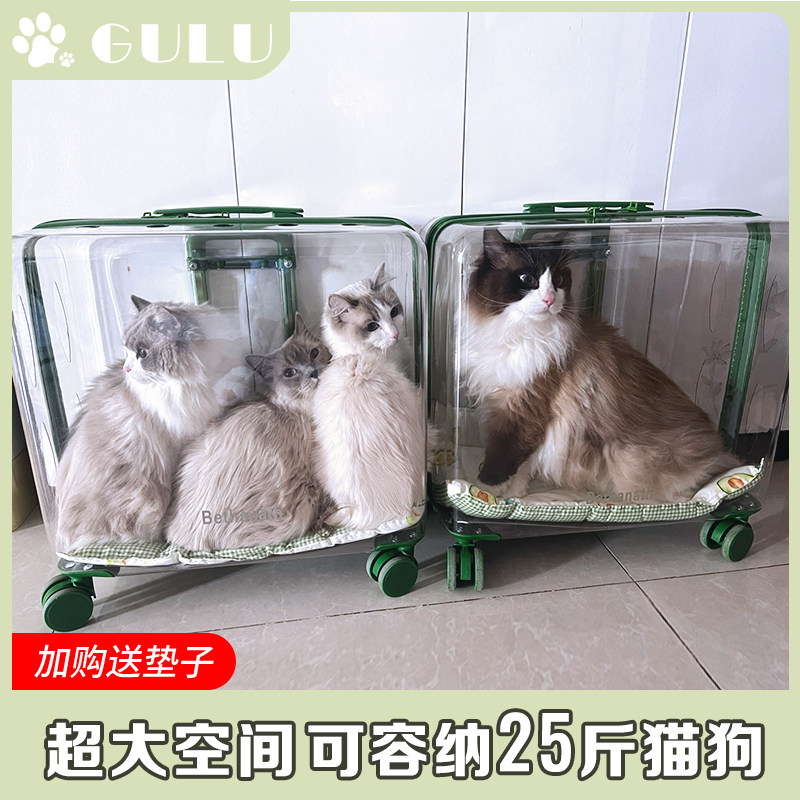 猫包外出便携大容量透明宠物拉杆箱手提两M只夏天超大狗猫咪行李