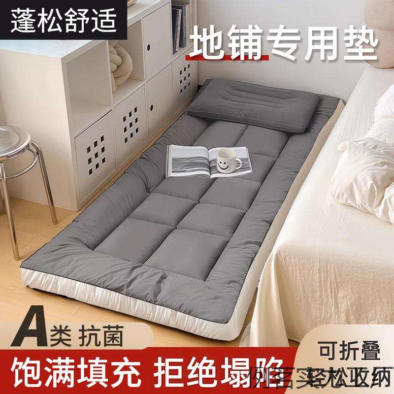 地垫睡垫榻榻米地铺专用睡垫床垫软垫家用卧室出租房可折叠不塌陷