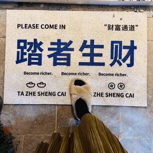 丝圈门垫进门家用入户门地垫玄z关地毯免洗防滑门口耐脏可裁剪脚