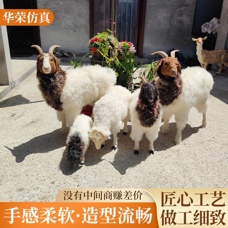 仿真科尔沁绵羊动物模型牧场园林奶粉店工艺品摆件X商店庭院摆件