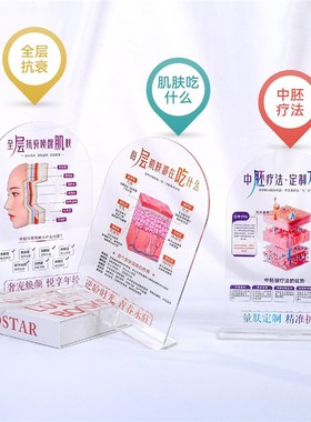 美容院桌面装饰摆件分层抗衰肌肤结构亚克力医患沟通皮肤解剖知识