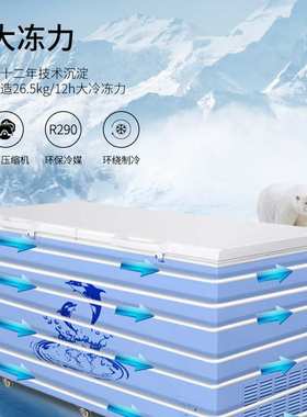 澳柯玛商用大容量冰柜BC/BD-560 737TC