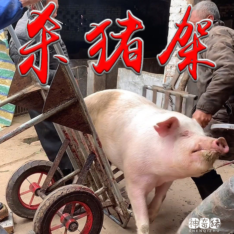 杀猪车杀猪架子移动式加厚管杀猪设备屠K宰猪架子移动式屠宰猪推