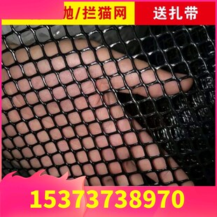 整卷黑色塑料平网养殖网养鸡养鸭育雏漏粪养O蜂网防护网胶网格脚
