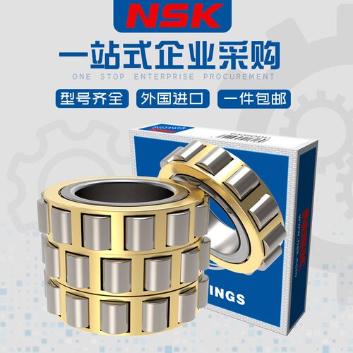 摆线针减速机配件偏心轴承RN307 RN308 RN309 RN310  RN312M