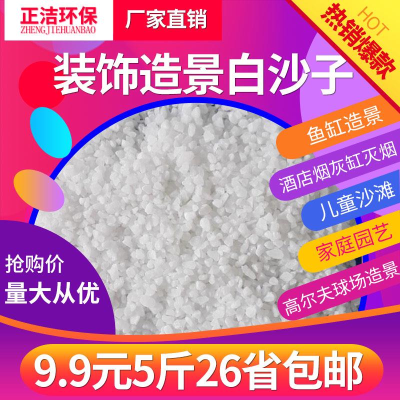 鱼缸底沙水族造景底砂石英砂小白石子酒店烟灰缸垃圾桶细沙白沙子图片